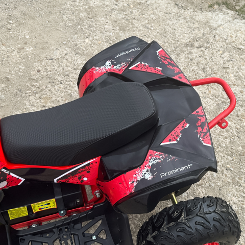 ATV electric Kinder Eco Wolf XXL 1200W 48V cu 3 viteza 6 inch, culoare Rosie [16]