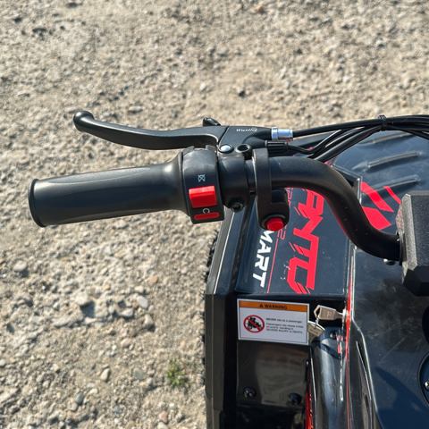 ATV electric NITRO E-QUAD Acanto 1000W cu baterie 36V 8Ah Lithium, culoare rosie [15]