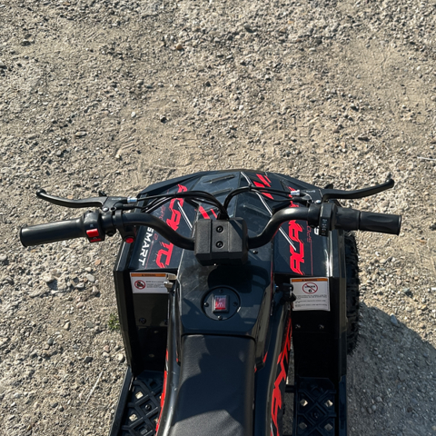ATV electric NITRO E-QUAD Acanto 1000W cu baterie 36V 8Ah Lithium, culoare rosie [13]
