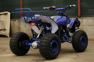 ATV electric NITRO Eco Warrior 1000W 48V 20Ah cu DIFERENTIAL #Albastru [5]