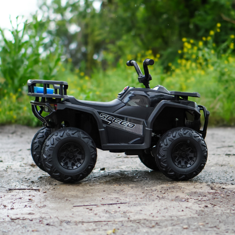 ATV electric pentru copii intre 2 si 5 ani, model Mini Desert [7]