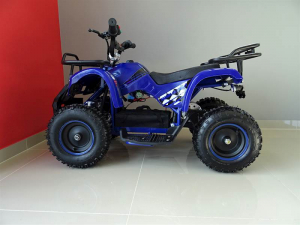 ATV electric pentru copii KXD Torino M5 800W 36V #Albastru [7]