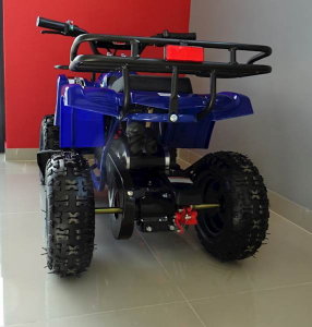 ATV electric pentru copii KXD Torino M5 800W 36V #Albastru [6]