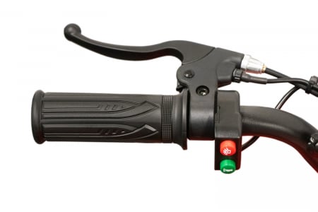 ATV electric pentru copii NITRO Torino Quad 1000W 36V, culoare Rosie [28]