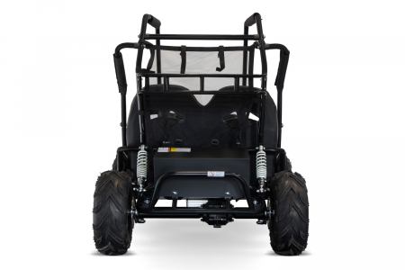 Buggy electric pentru 2 copii Nitro Gokart 1000W [2]