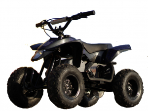 ATV & UTV Electrice - Mini ATV electric Pentru copii NITRO Eco Trio Quad 350W 24V #Albastru