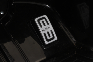 Masinuta electrica pentru copii 2-5 ani Mercedes GT-R [12]