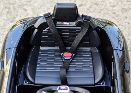 Masinuta electrica pentru copii Audi E-tron GT 60W 12V, culoare negru [7]