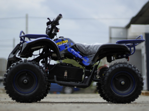 Mini ATV Electric Eco Torino Deluxe 1000W 48V cu 3 Trepte de Viteza #Albastru [2]