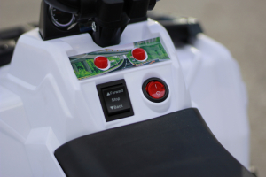 Mini ATV electric Panda BB3201 25W STANDARD #Alb [8]