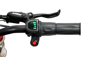 Motocicleta electrica Eco Tiger 1300W 14/12 48V 14Ah Lithiu ION #Verde [10]