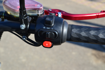 Scuter electric Solley SDM-U1 #Black, 2000W [8]