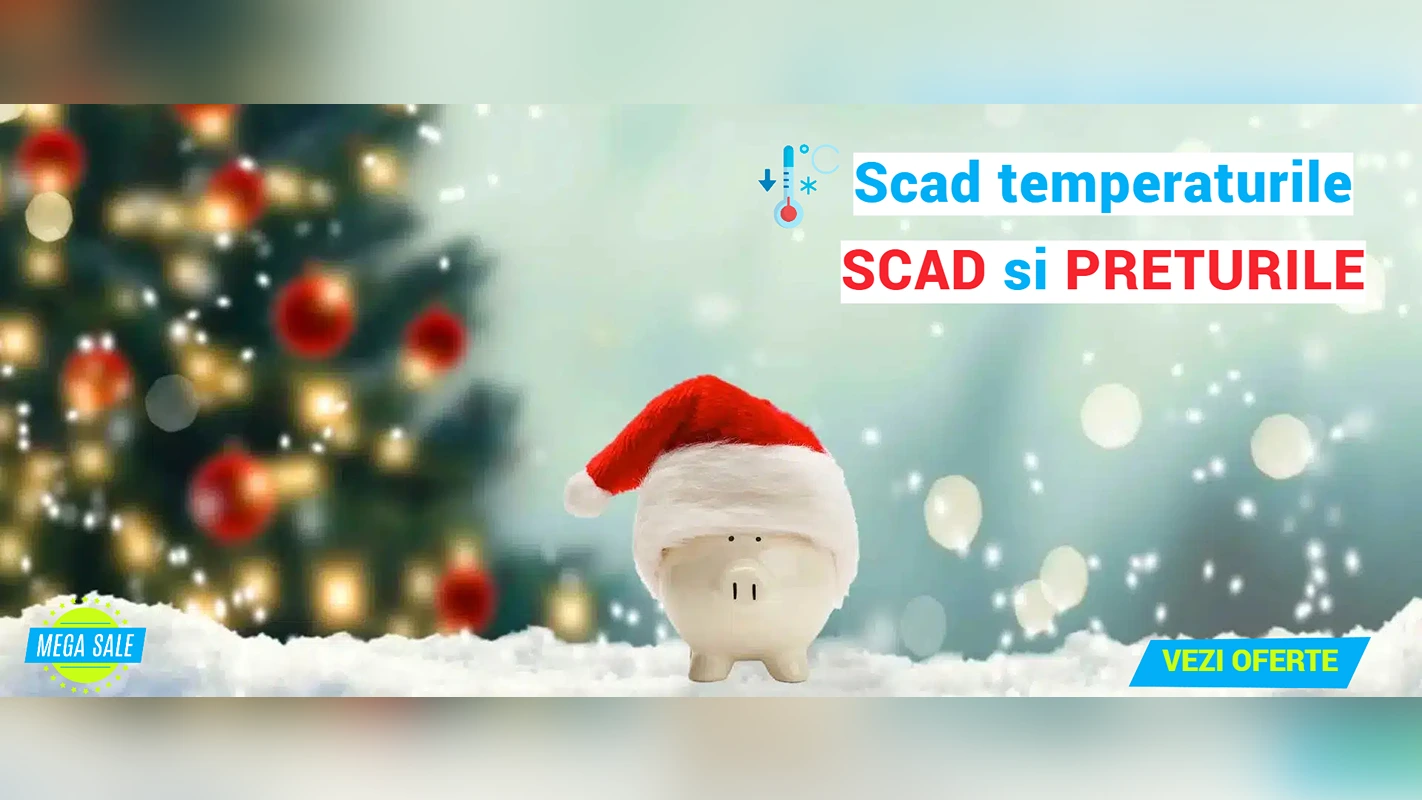 Baner principar 3 Winter - 2023
