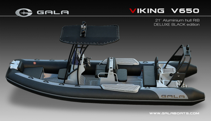 Barca Gala Viking Deluxe RIB Tenders V650 [3]