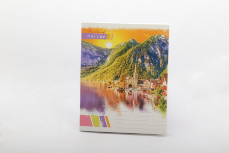 CAIETE - CAIET LINII 48 FILE
