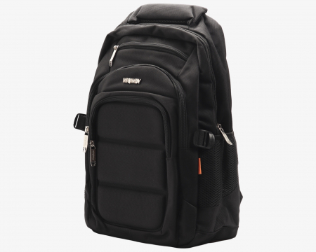 GHIOZDAN ADOLESCENT [1]