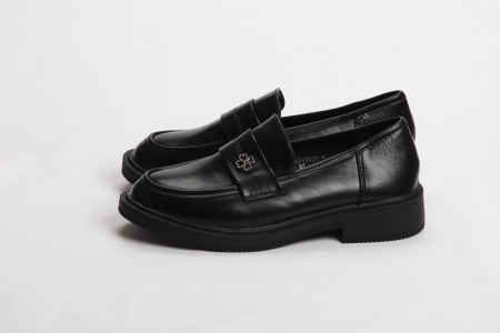 PANTOFI FEMEIE [1]