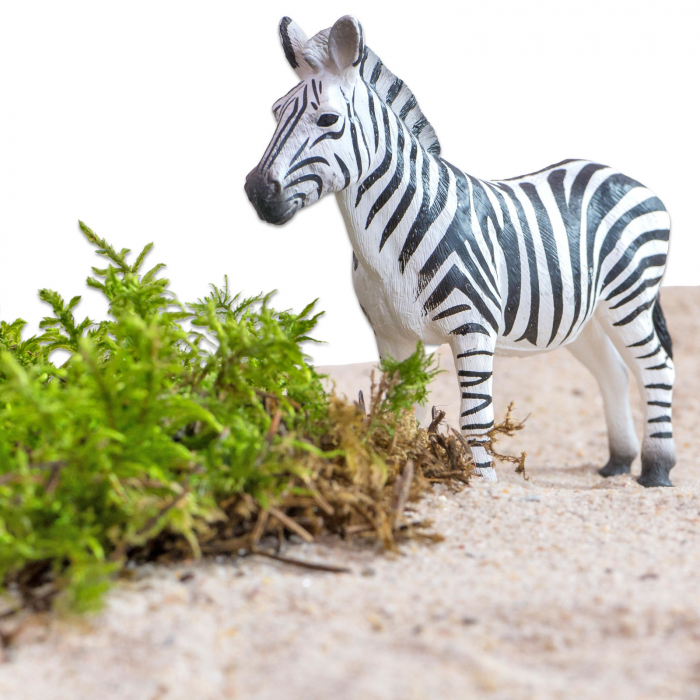 Animale din Africa realistice [6]