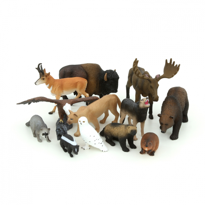 Animale din America de Nord [2]