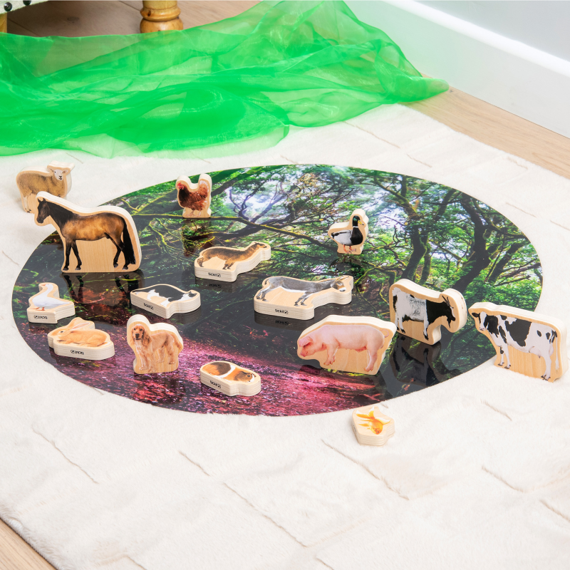 Animale domestice, set de 15 blocuri cu imagini [4]