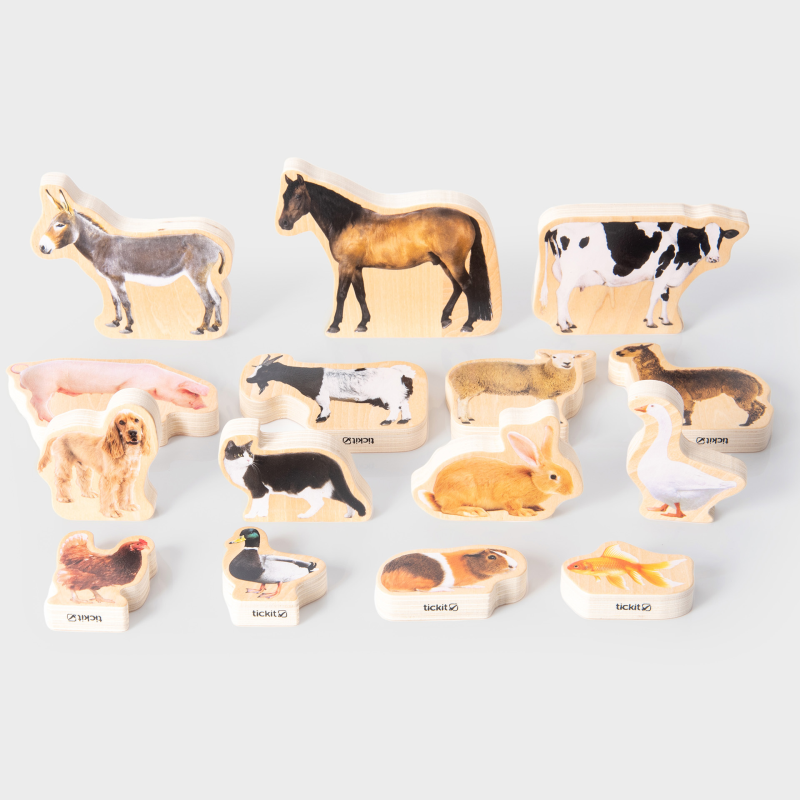 Animale domestice, set de 15 blocuri cu imagini [2]