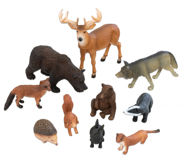 Animale sălbatice set 2 [2]