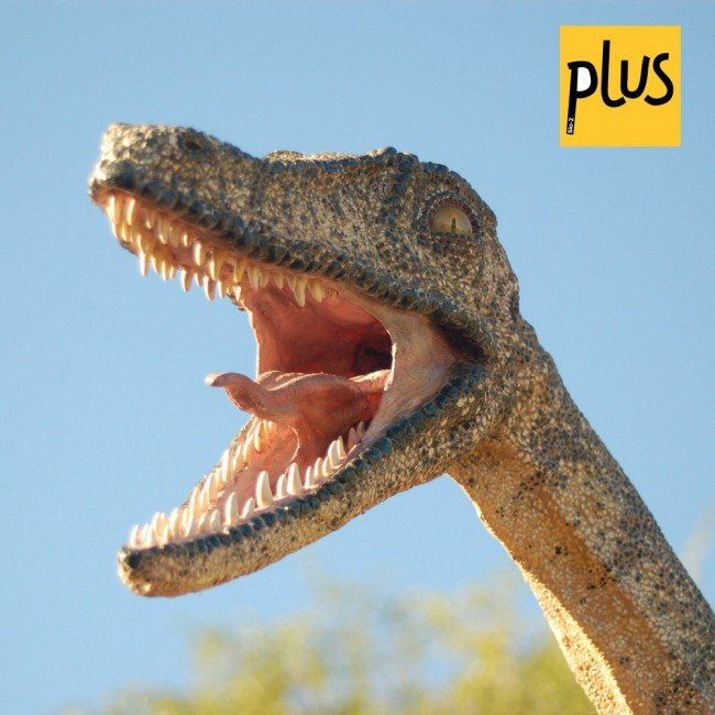 Argilă de modelare naturală teracota cu uscare la aer SIO-2 PLUS®, 1 kg [3]