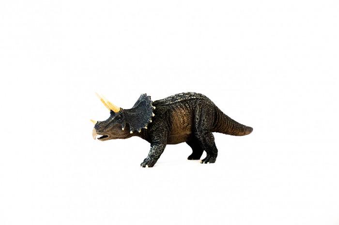 Dinozauri Deluxe [12]