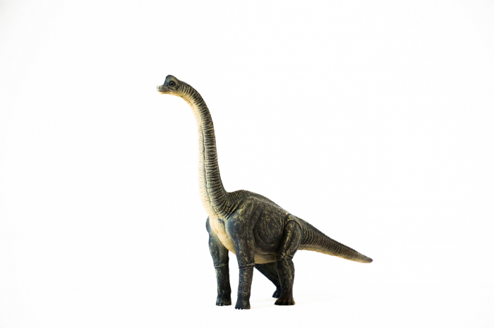 Dinozauri Deluxe [8]