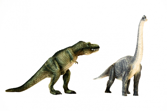 Dinozauri Deluxe [16]