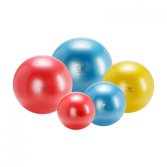 Minge fizioterapeutică Body Ball 95 BRQ - albastru [5]
