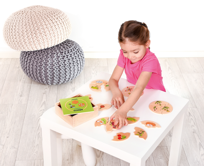 Puzzle de asociere din lemn cu etapele evoluției în natură [10]