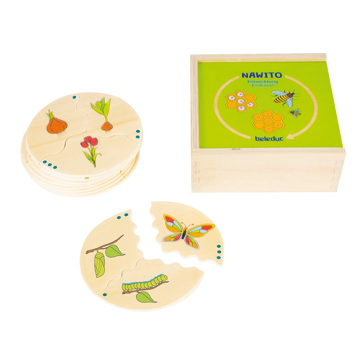 Puzzle de asociere din lemn cu etapele evoluției în natură [3]