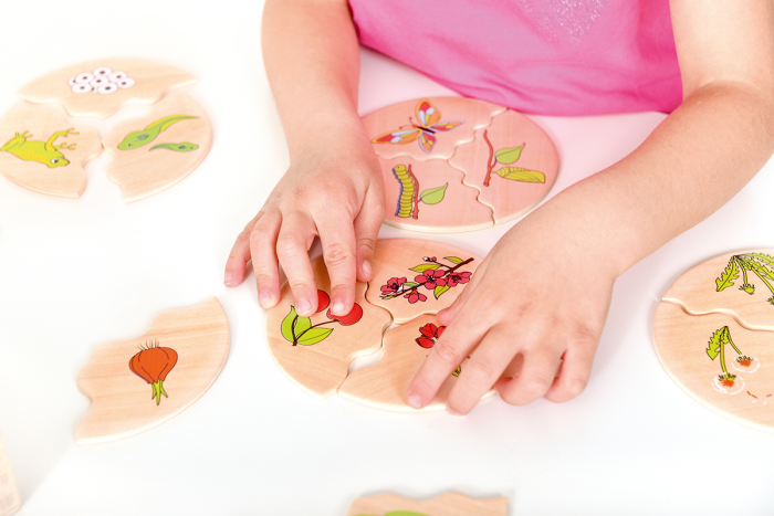 Puzzle de asociere din lemn cu etapele evoluției în natură [7]