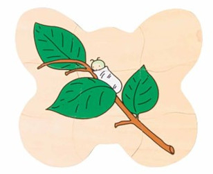 Puzzle de dezvoltare FLUTURE [6]