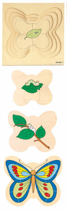 Puzzle de dezvoltare FLUTURE [2]