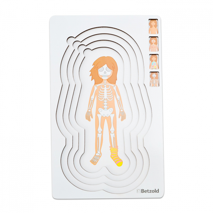 Puzzle multistrat anatomie fată, 28 de piese [3]