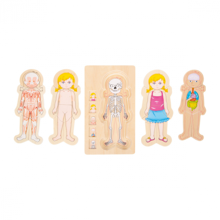 Puzzle multistrat de anatomie - fată [3]