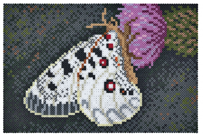 Set cu mărgele Hama midi artă - fluture [2]