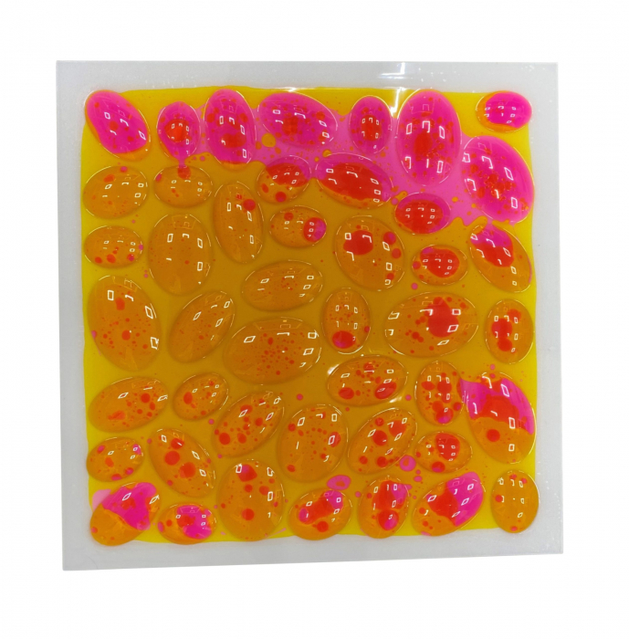 Set de 4 plăci senzoriale cu lichid texturat - 30 cm [6]