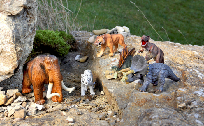 Set de animele din pădure, domestice, sălbatice și preistorice [10]