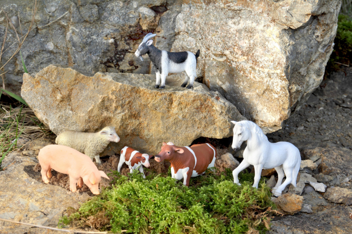 Set de animele din pădure, domestice, sălbatice și preistorice [11]