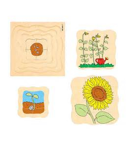 Puzzle de dezvoltare FLOAREA SOARELUI [1]