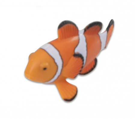Animale din ocean [8]
