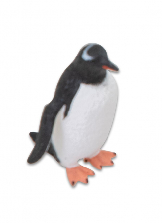 Animale din ocean [7]
