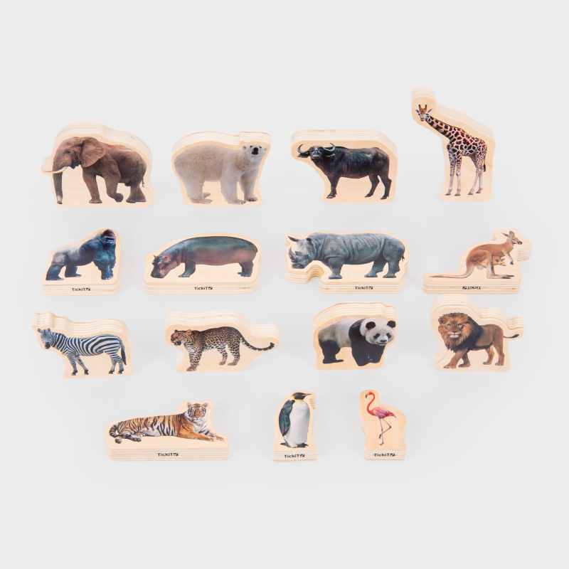 Stiinte - Animale sălbatice, set de 15 blocuri cu imagini