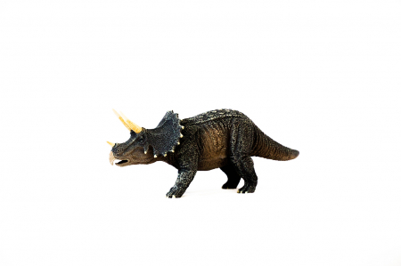 Dinozauri Deluxe [11]