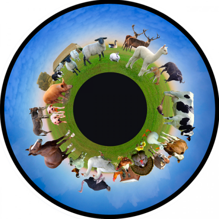Stiinte - Disc cu Efecte Luminoase pentru Proiectoare - Animale de fermă