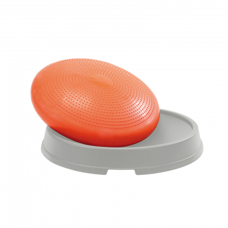 Mingi terapeutice - Disc wellness Disco Dome