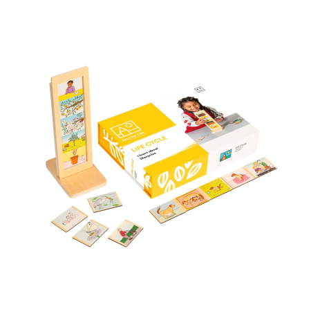 Produse - Joc de dezvoltare cognitivă - Ciclul de viață